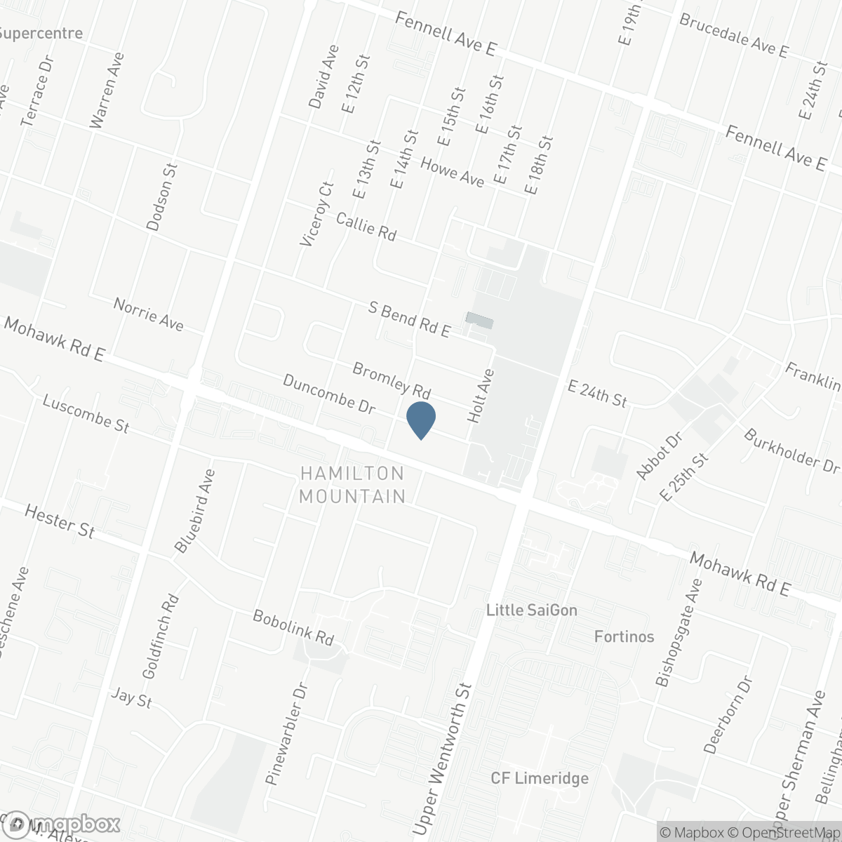 98 DUNCOMBE Drive, Hamilton, Ontario L9A 2G3